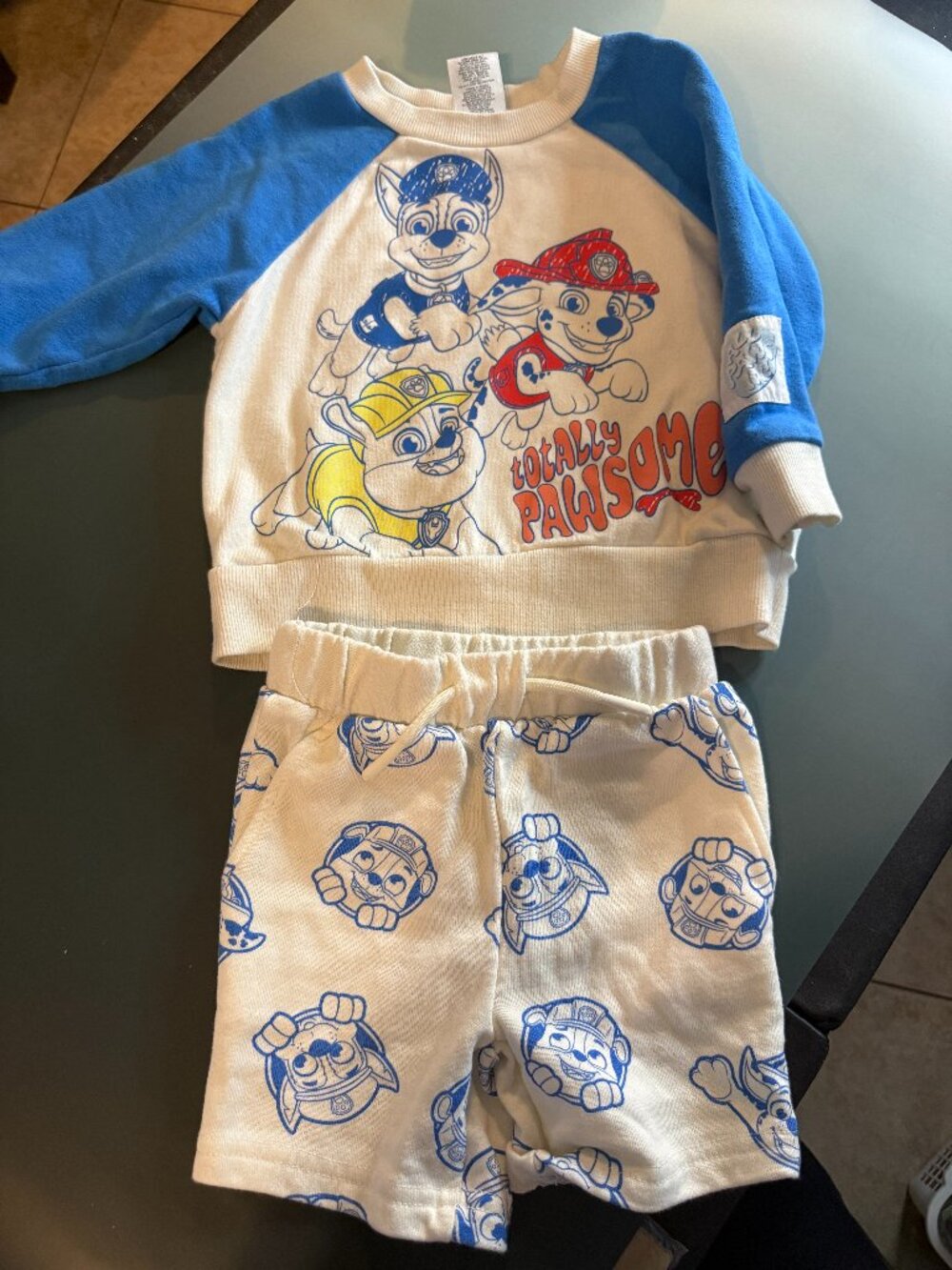 Nickelodeon PAW PATROL 2 Piece Set Sweatshirt/Shorts Size 2T (004)